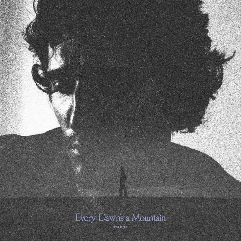 Tamino - Every Dawn’s A Mountain