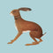 Vashti Bunyan - Lookaftering – Expanded Edition