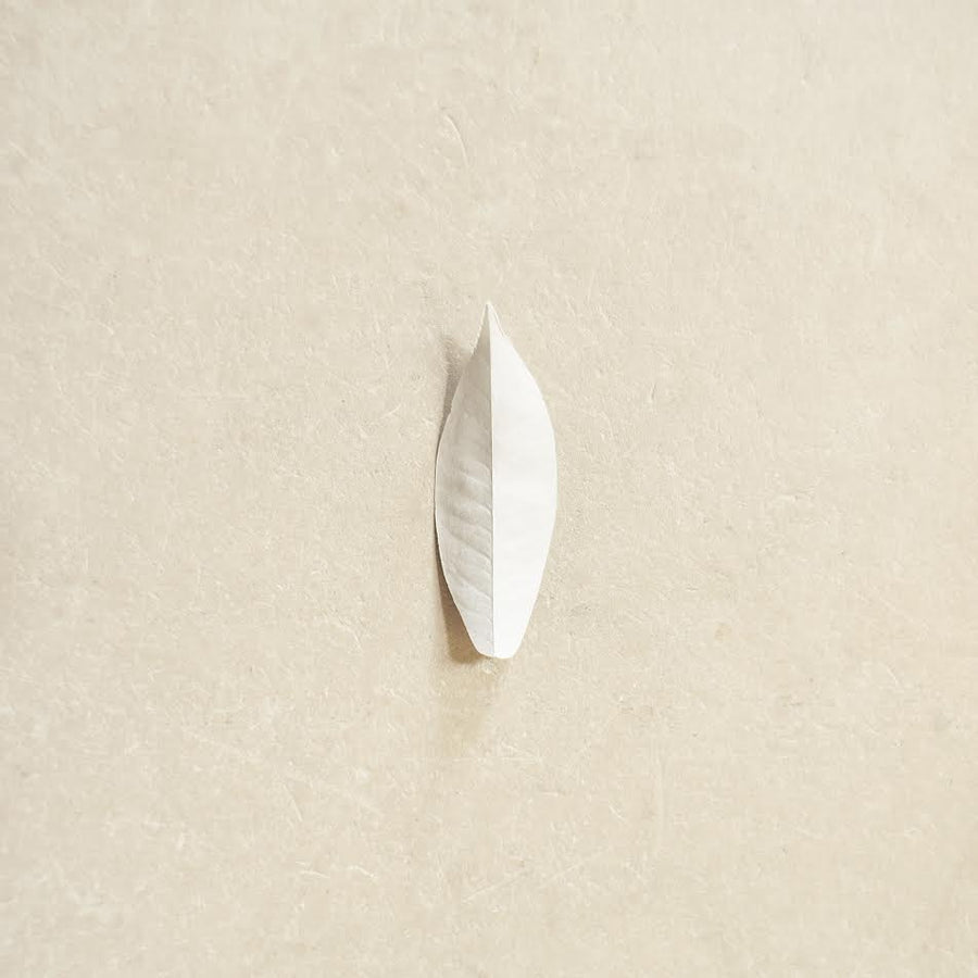 Sylvain Chauveau - The Complexity of the Simple