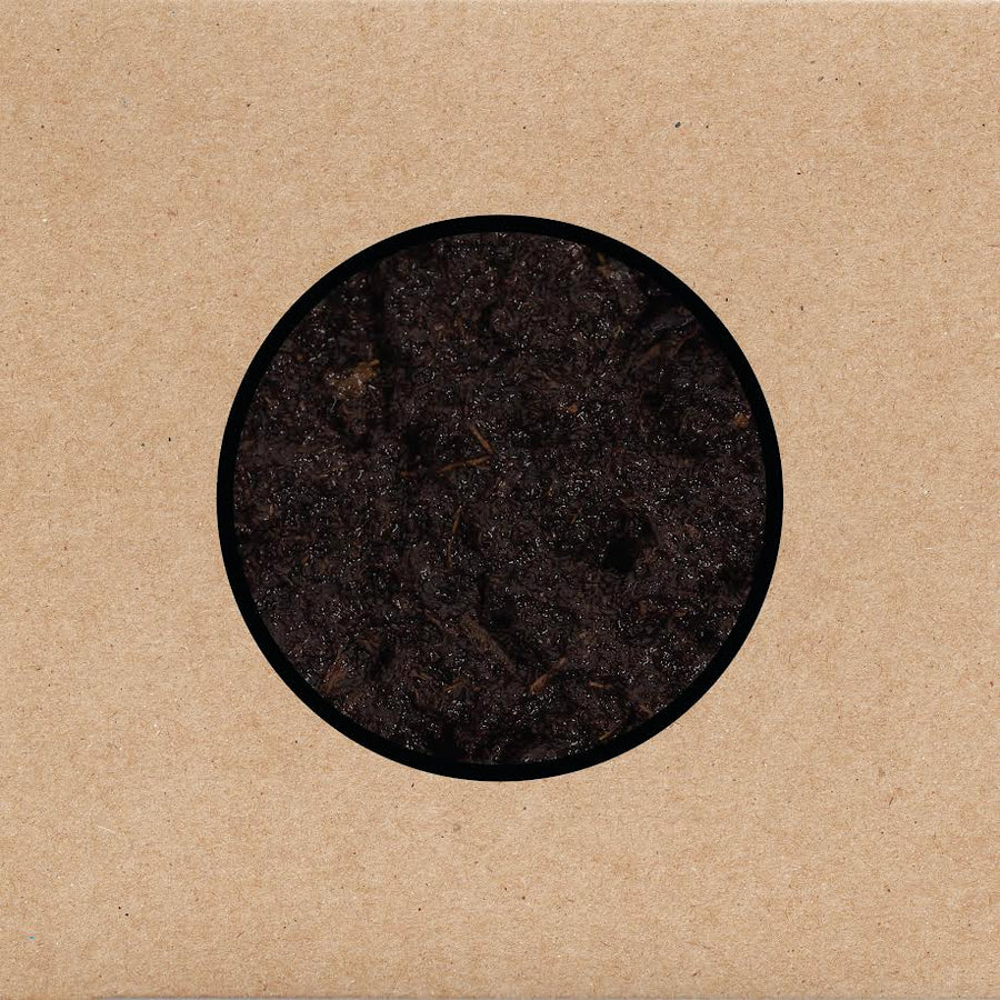 Swans - Birthing