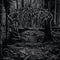 Wolves in the Throne Room - 2005 Demo