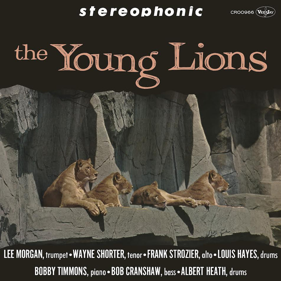 Young Lions (The) - The Young Lions