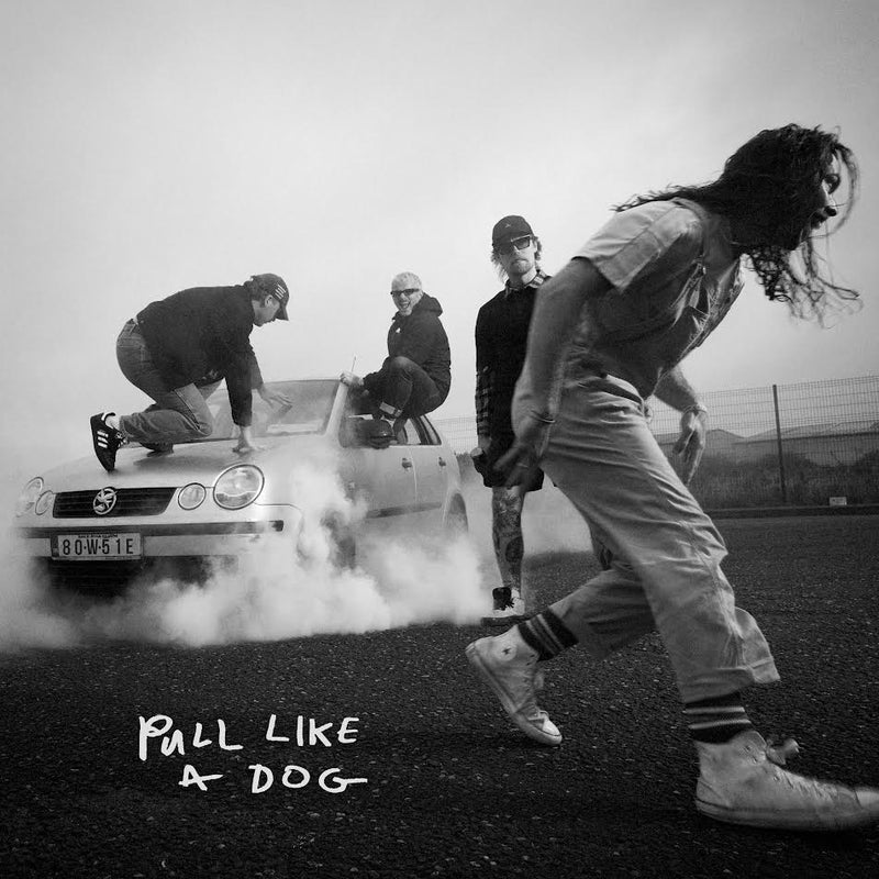 Scratch (The) - Pull Like a Dog