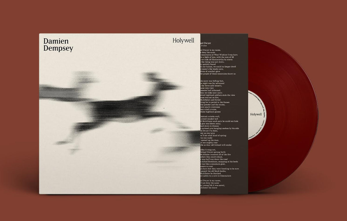 Damien Dempsey - Holywell