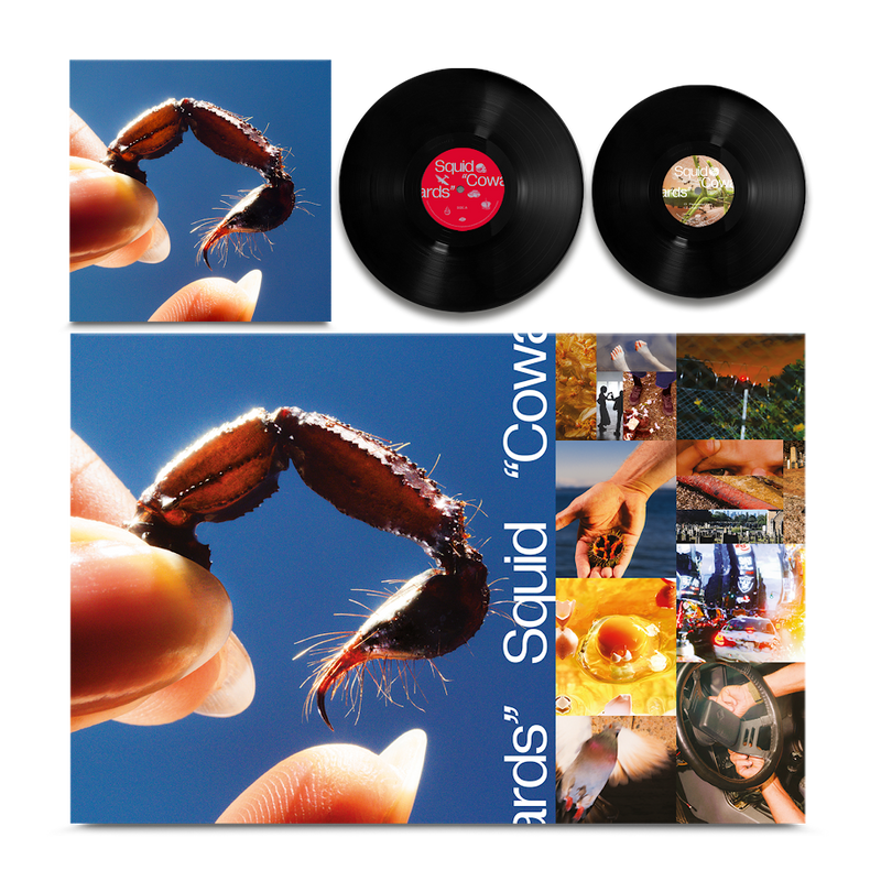 Squid - Cowards