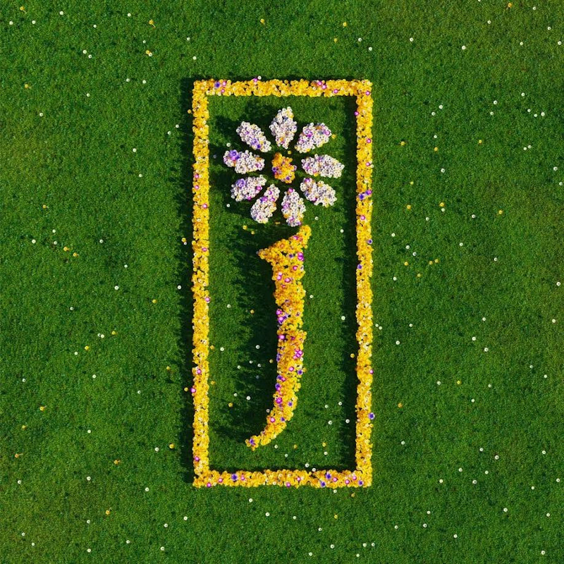 James - Nothing But Love - The Definitive Best Of *Pre-Order