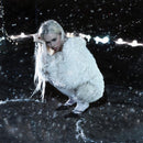 Erin LeCount - PAREIDOLIA *Pre-Order