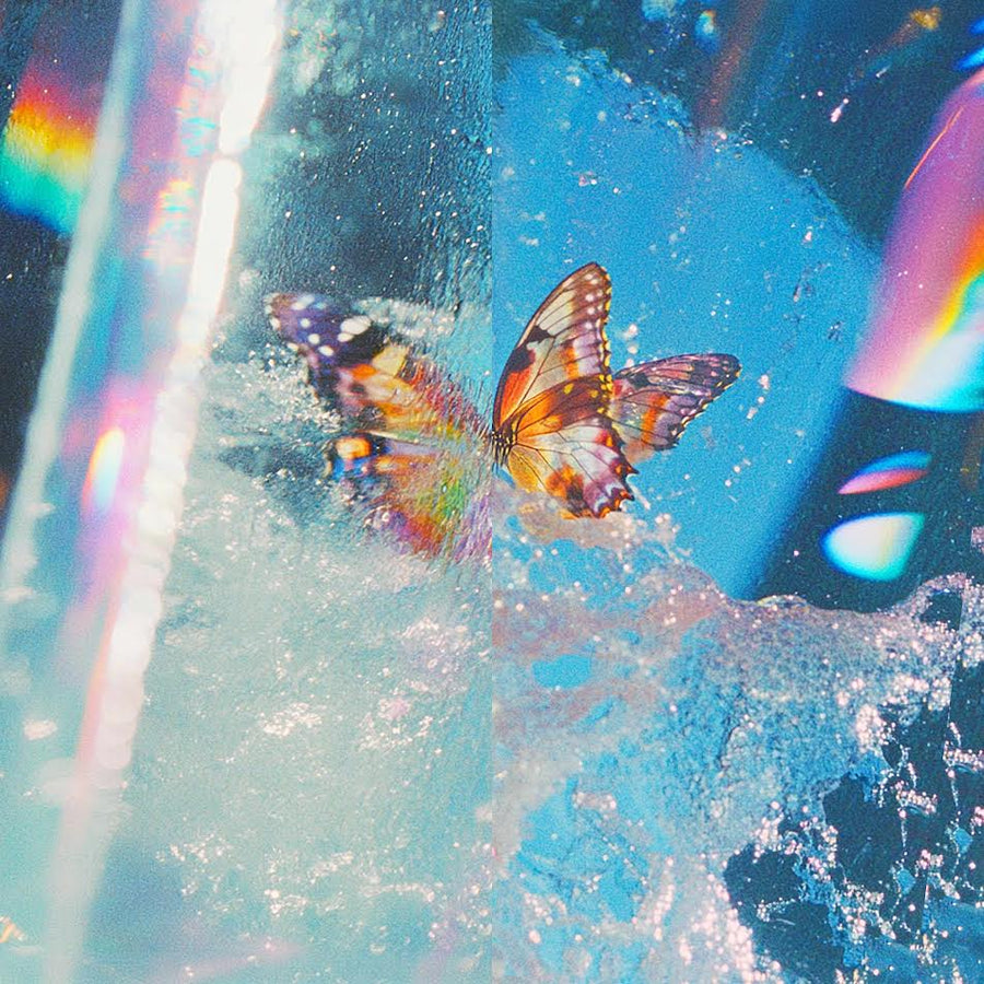 Daphni - Butterfly