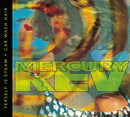 Mercury Rev - Yerself Is Steam + Car Wash Hair