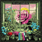 Hanging Stars (The) - Dreams *Pre-Order