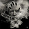 John Carpenter, Cody Carpenter, & Daniel Davies - Lost Themes 10th Anniversary *Pre-Order