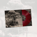 Howling Bells - Howling Bells (20th Anniversary Edition) *Pre-Order