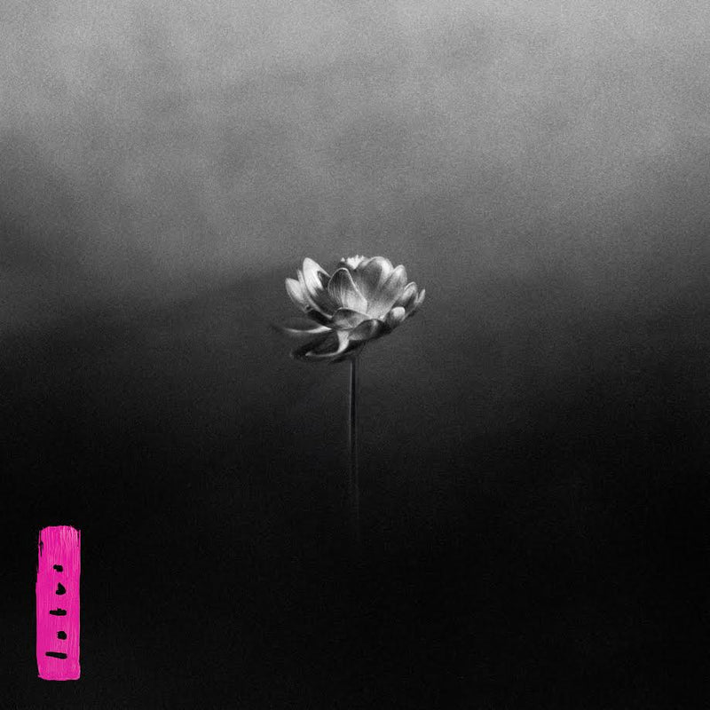 Little Simz - Lotus *Pre-Order