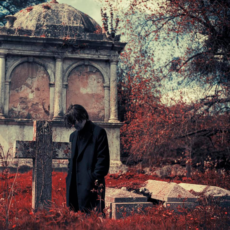Steven Wilson - Requiem For A Village *Pre-Order