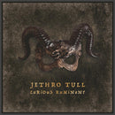 Jethro Tull - Curious Ruminant