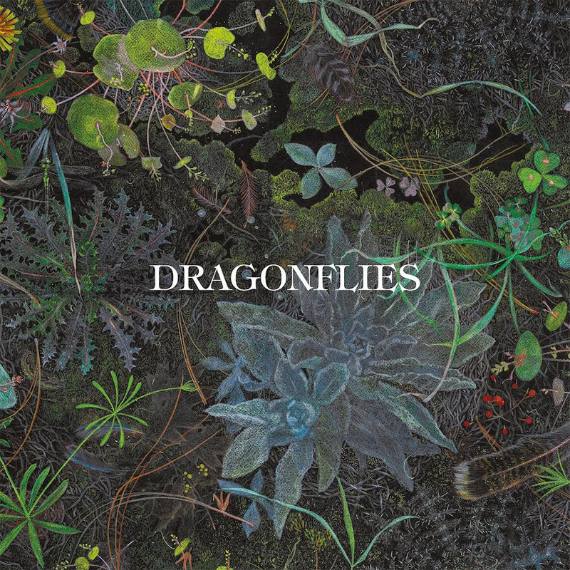 Dragonflies - Dragonflies *Pre-Order