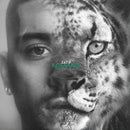 ZAYN - Konnakol *Pre-Order + Listening Party