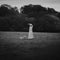 Yoshika Colwell - On The Wing *Pre-Order