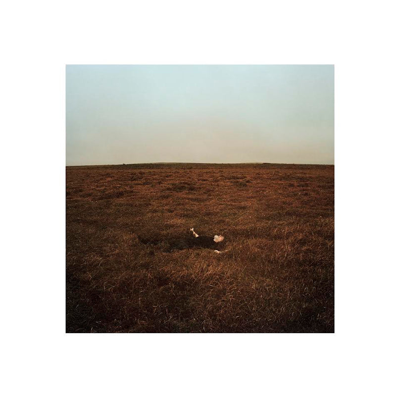 Fink - The City Is Coming To Erase it All *Pre-Order