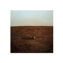 Fink - The City Is Coming To Erase it All *Pre-Order