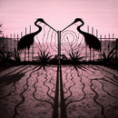 Afghan Whigs (The) - Soft Control *Pre-Order