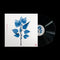 Matt Berninger - Get Sunk *Pre-Order