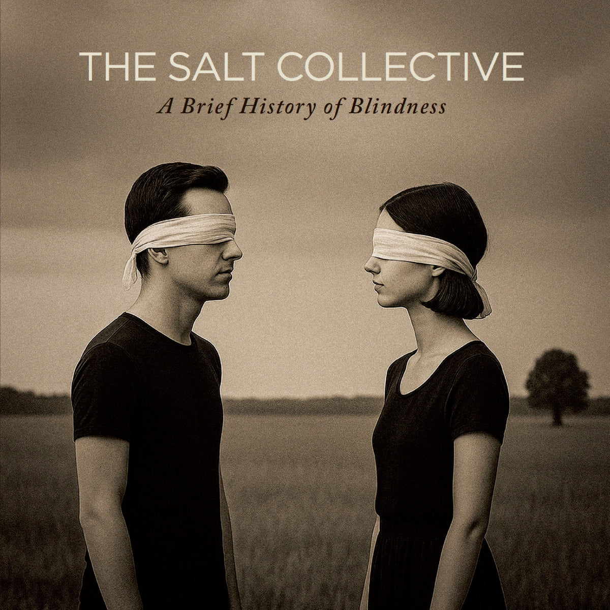 Salt Collective (The) - A Brief History of Blindness