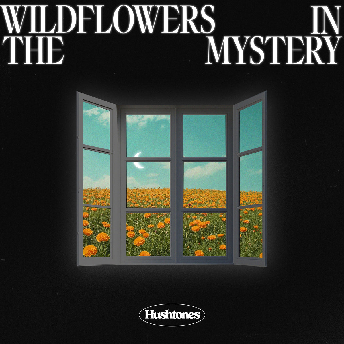 Hushtones - Wildflowers in the Mystery