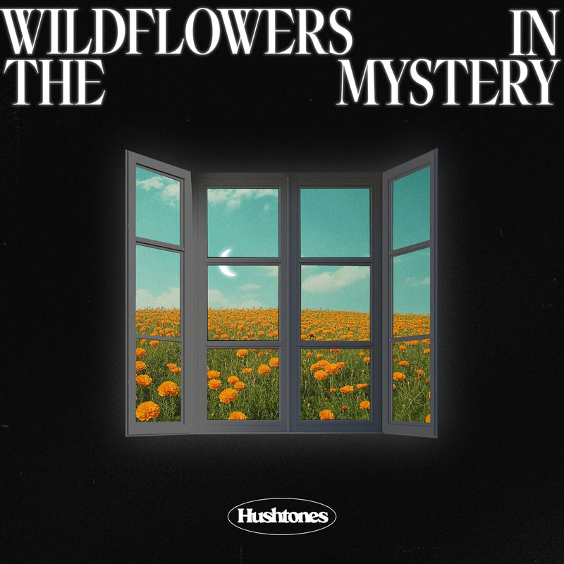 Hushtones - Wildflowers in the Mystery