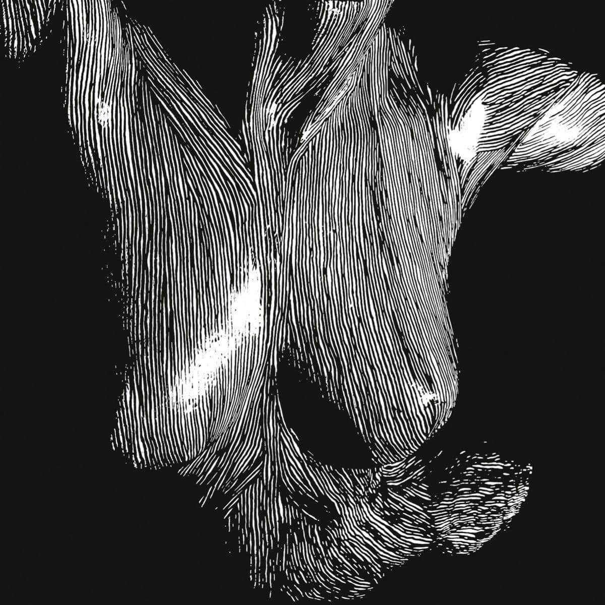 Oceansize - Self Preserved While The Bodies Float Up (National Album Day 2025)
