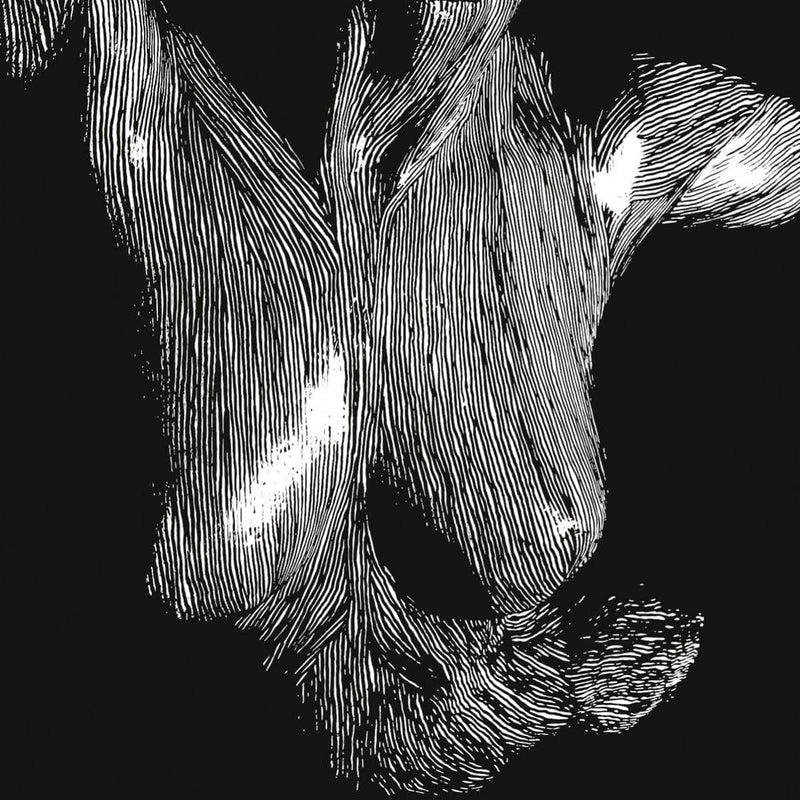 Oceansize - Self Preserved While The Bodies Float Up (National Album Day 2025)
