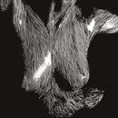 Oceansize - Self Preserved While The Bodies Float Up (National Album Day 2025) *Pre-Order
