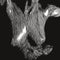 Oceansize - Self Preserved While The Bodies Float Up (National Album Day 2025) *Pre-Order