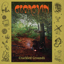 Georgian - Crackled Grounds *Pre-Order