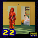 Barry Can't Swim - Loner