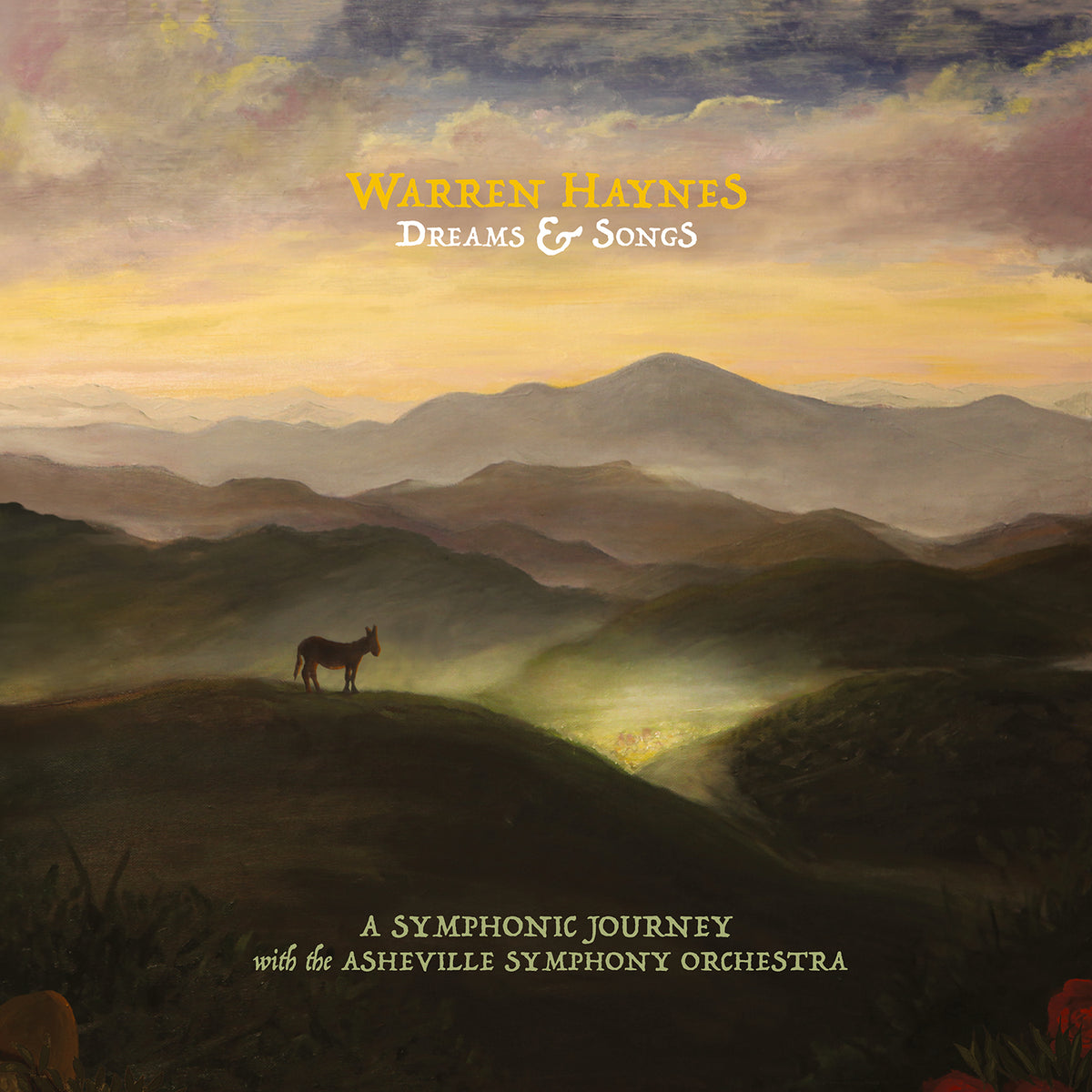Warren Haynes - Dreams & Songs *Pre-Order
