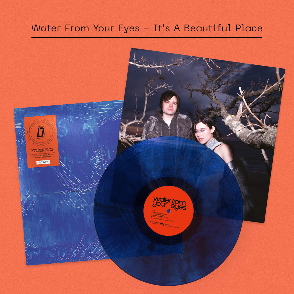 WATER FROM YOUR EYES - It’s A Beautiful Place: Clear Blue Smoke Vinyl + Signed Print DINKED EDITION EXCLUSIVE 350