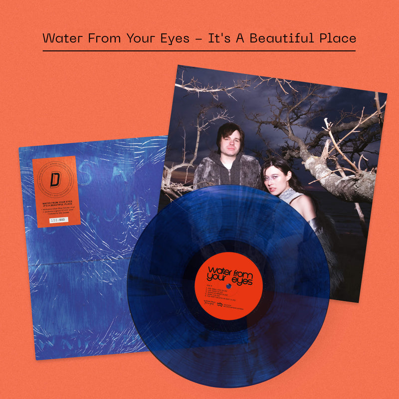WATER FROM YOUR EYES - It’s A Beautiful Place: Clear Blue Smoke Vinyl + Signed Print DINKED EDITION EXCLUSIVE 350