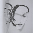 Tortoise - Touch *Pre-Order