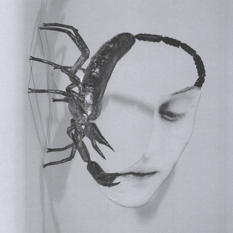 Tortoise - Touch *Pre-Order
