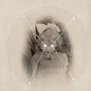 Current 93 - Picture Disc Reissues