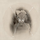 Current 93 - Picture Disc Reissues