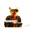 Skindred - Big Tings