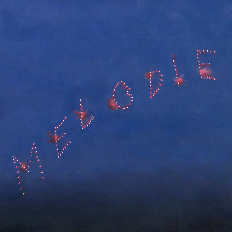 Slow Pulp - Melodie *Pre-Order
