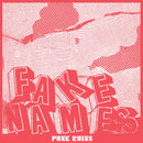 Fake Names - Punk Ruins *Pre Order