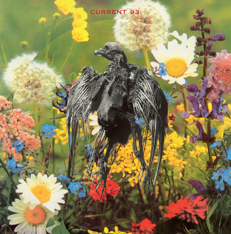 Current 93 - Picture Disc Reissues