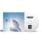 Geese - Getting Killed *Pre-Order