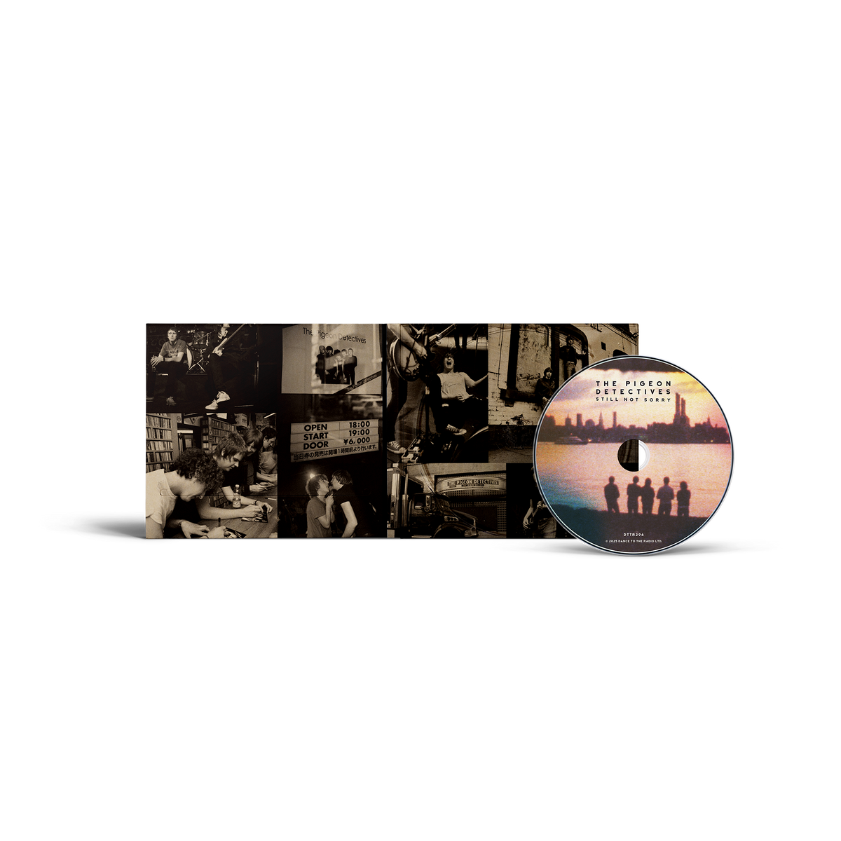 Pigeon Detectives (The) - Still Not Sorry - The Best of the Pigeon Detectives