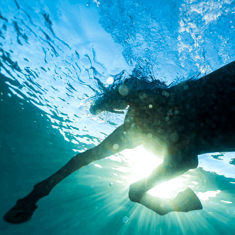 Dream Nails - You Wish *Pre-Order + INSTORE SESSION