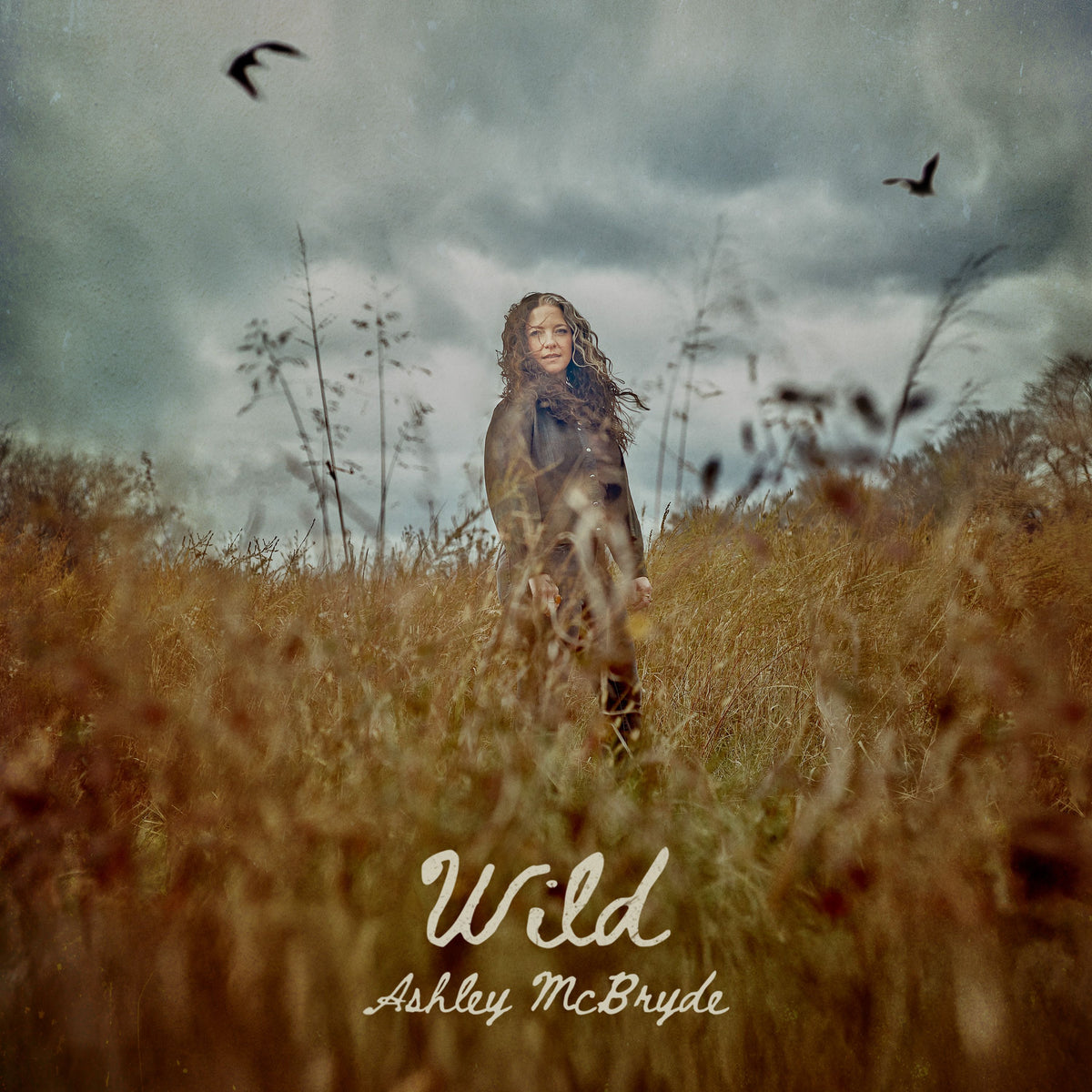 Ashley McBryde - Wild